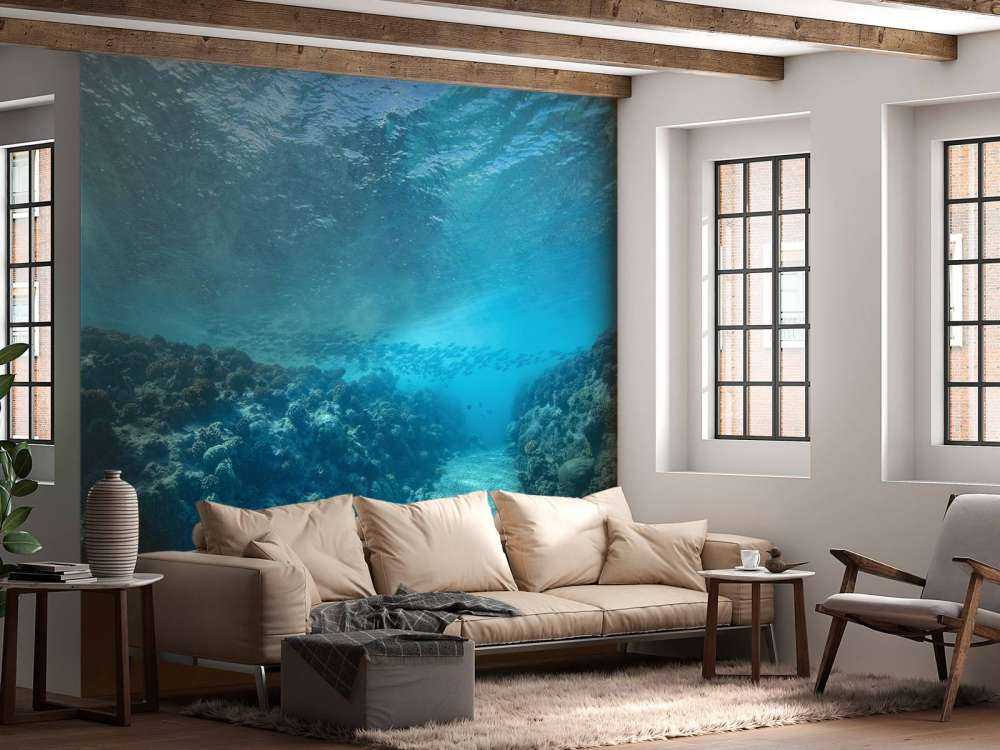 Monde sous-marin avec corail