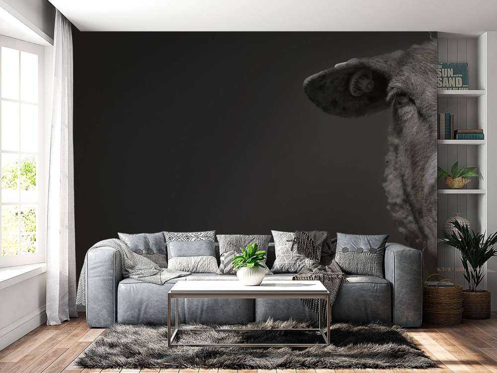 Gros plan sur un mouton noir et blanc