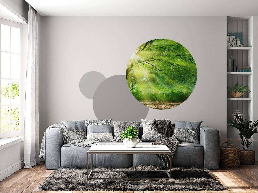 Grand arbre avec soleil