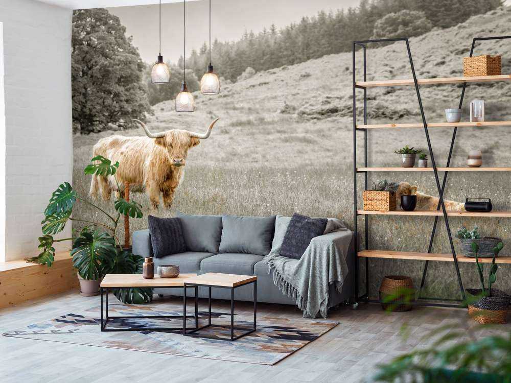 Highlander écossais avec veau