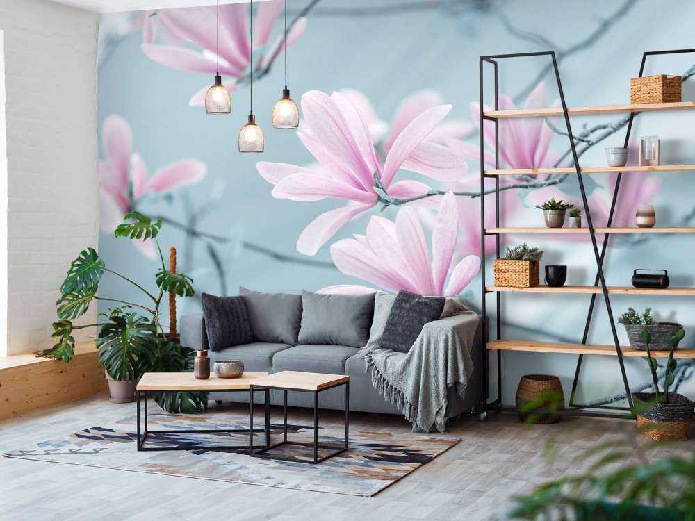 Fleurs de magnolia