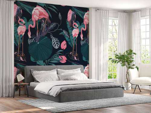 Flamants roses sauvages