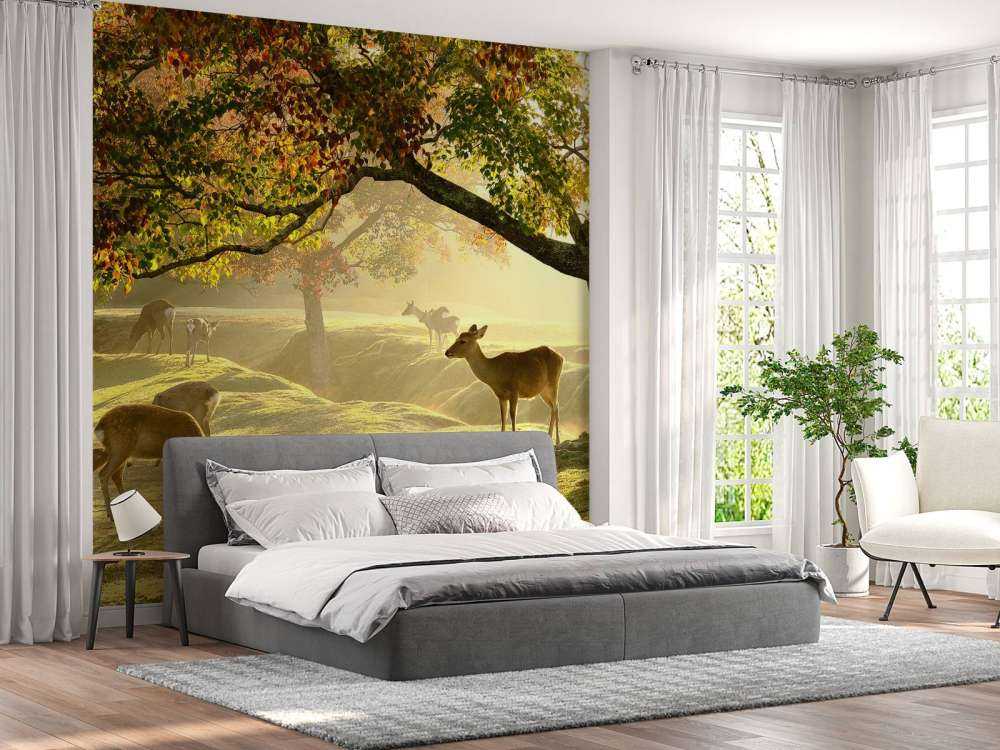 Cerfs à la campagne