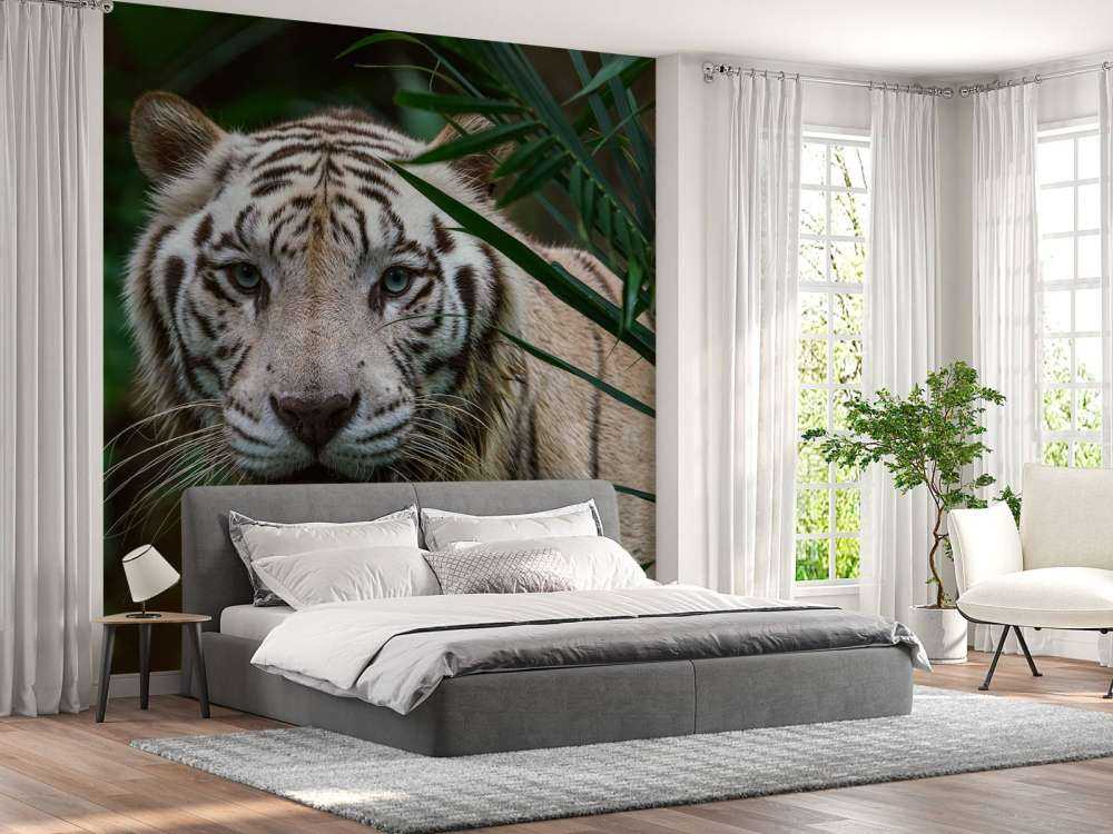 Tigre blanc
