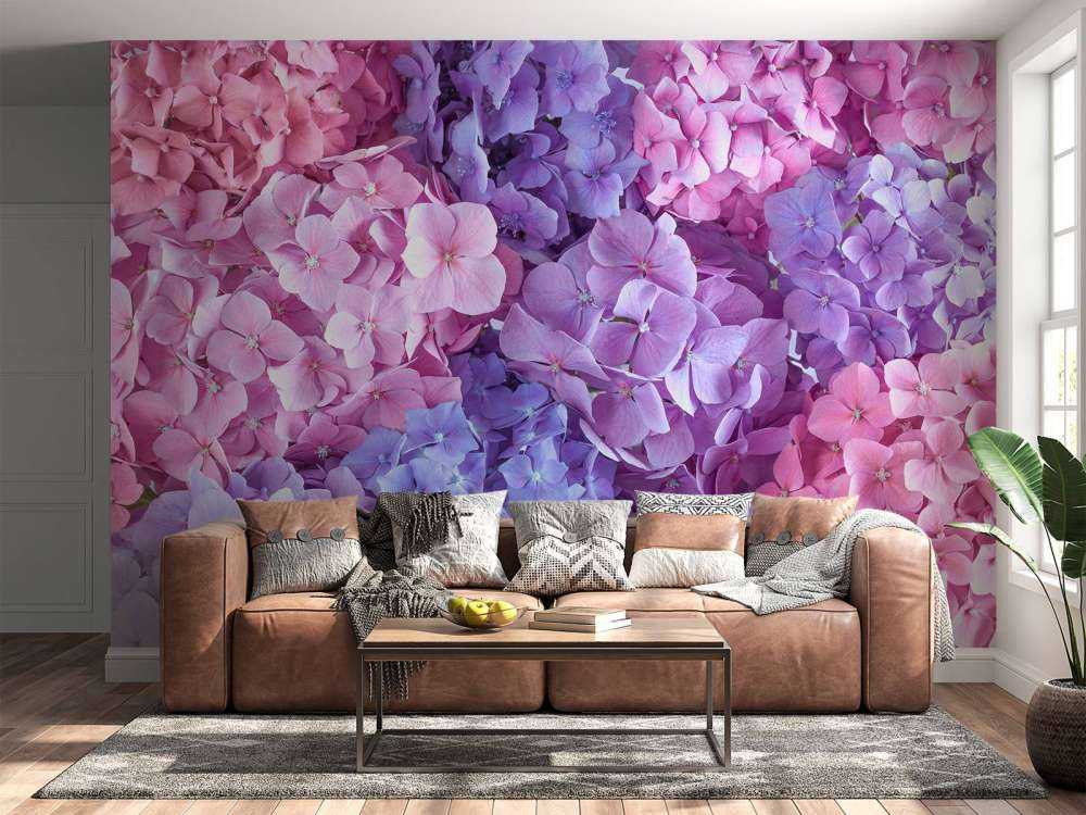 Hortensias multicolores