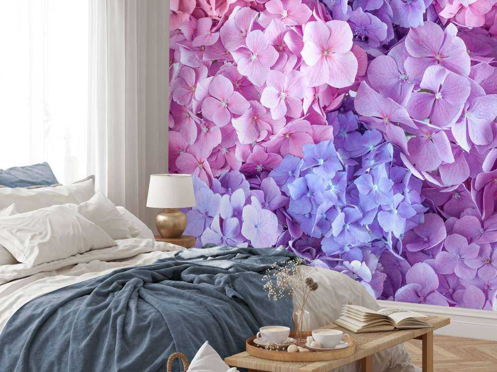 Hortensias multicolores