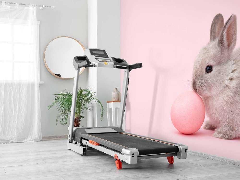 Lapin avec un œuf