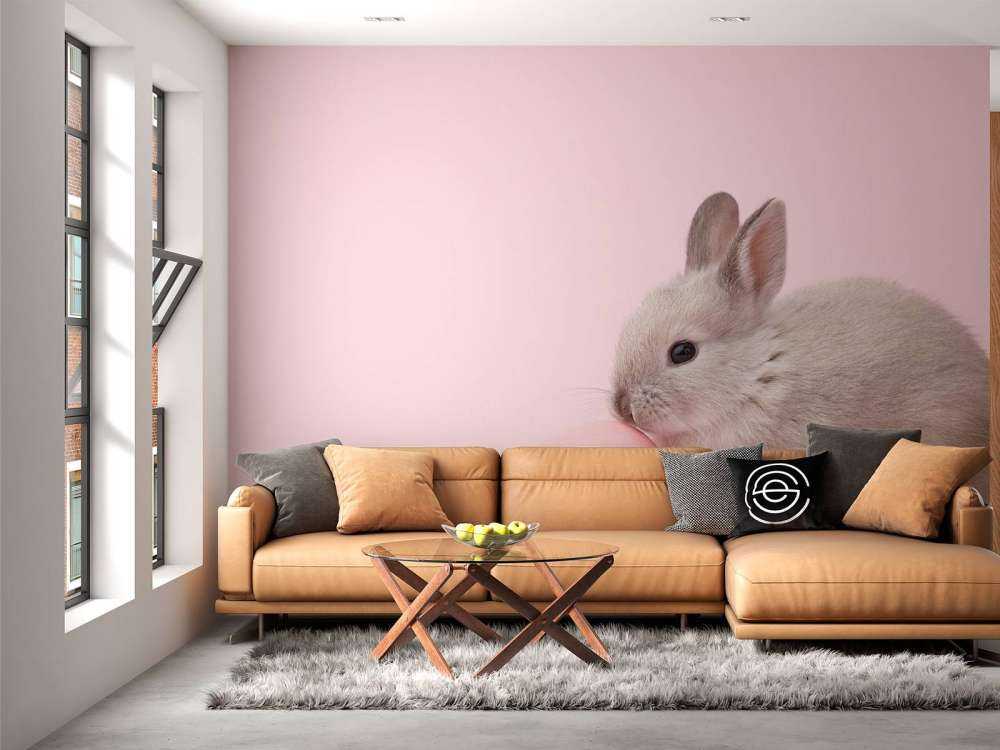Lapin avec un œuf