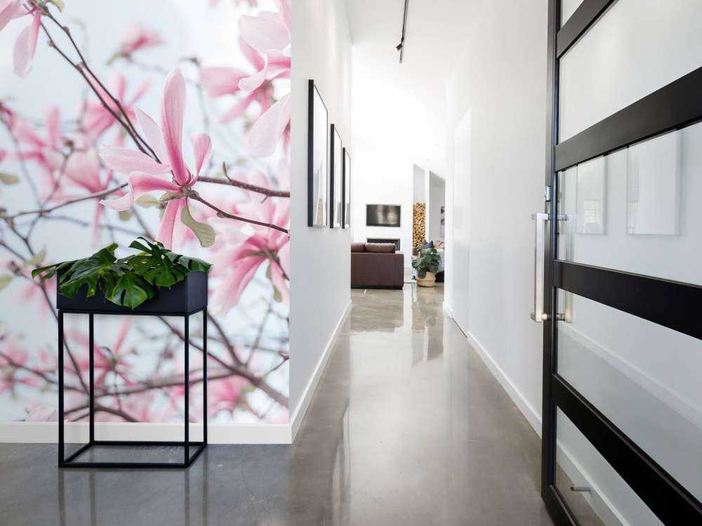 Magnolia