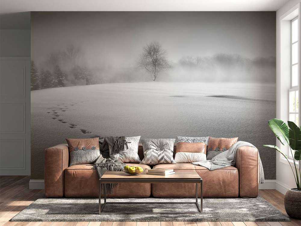 Winter scenery