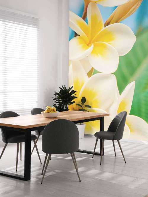 Fleur de plumeria blanc jaune