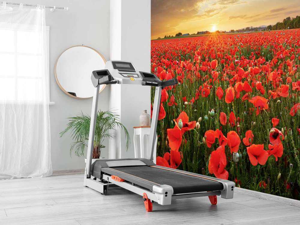 Coucher de soleil avec des coquelicots