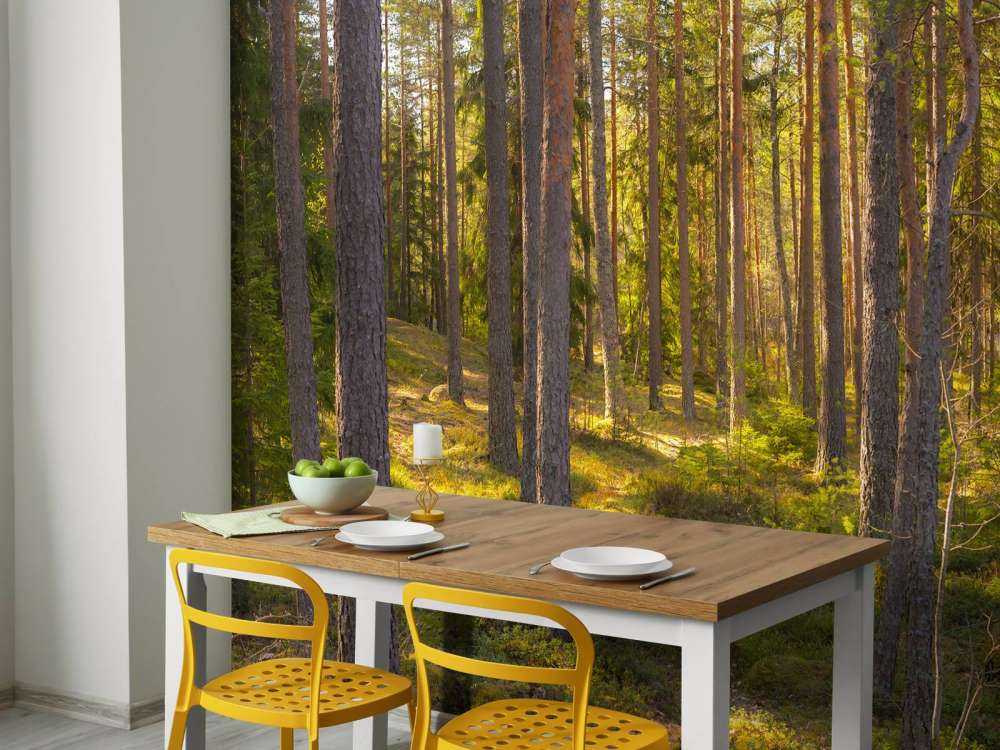 Forêt en été