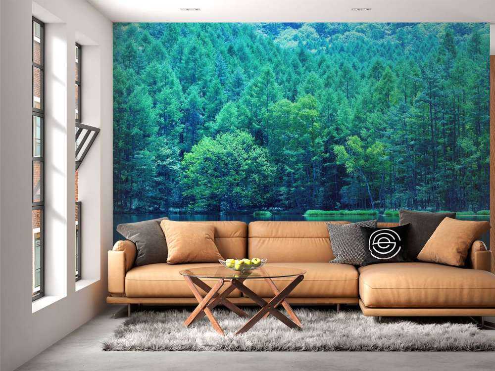 Lac dans une forêt verte