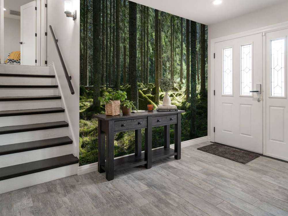Matinée ensoleillée