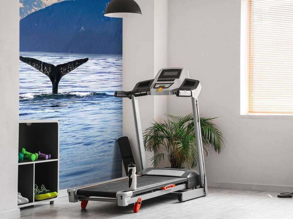 Baleine plongeante avec des montagnes à l'arrière-plan