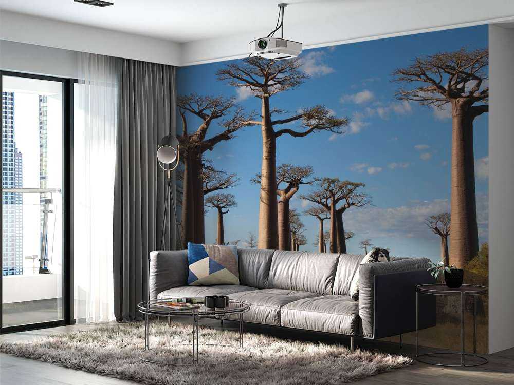 Baobabs