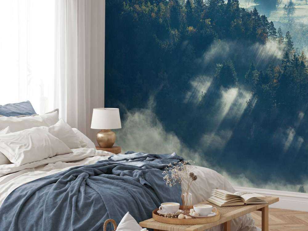 Paysage brumeux