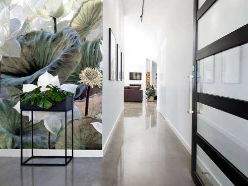 Fleurs de lotus pittoresques
