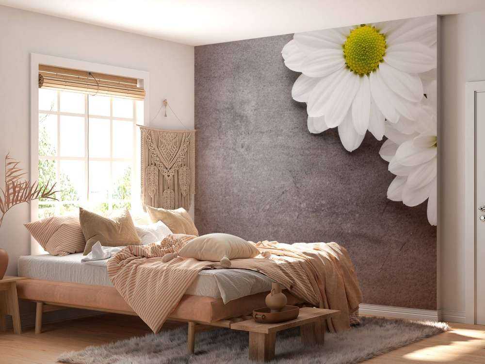 Marguerites et béton