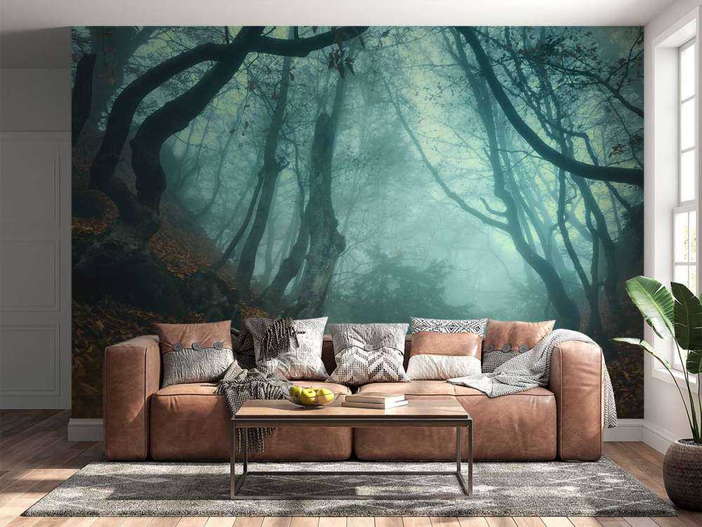 Forêt mystérieuse