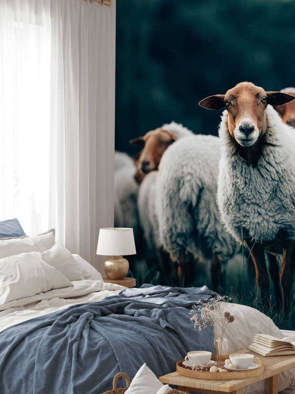 Moutons le soir