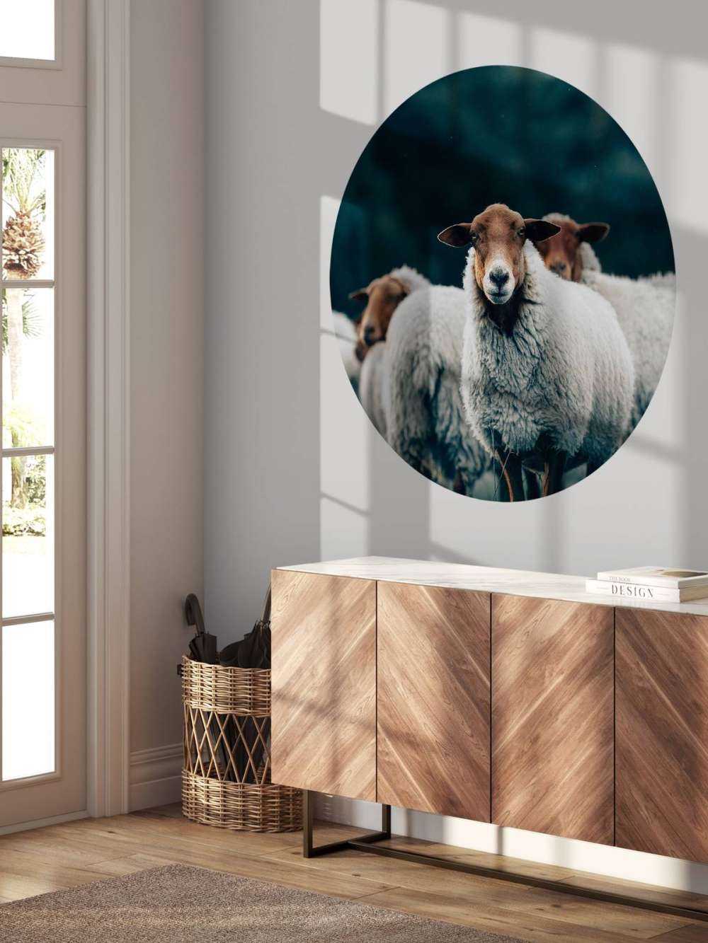 Moutons le soir