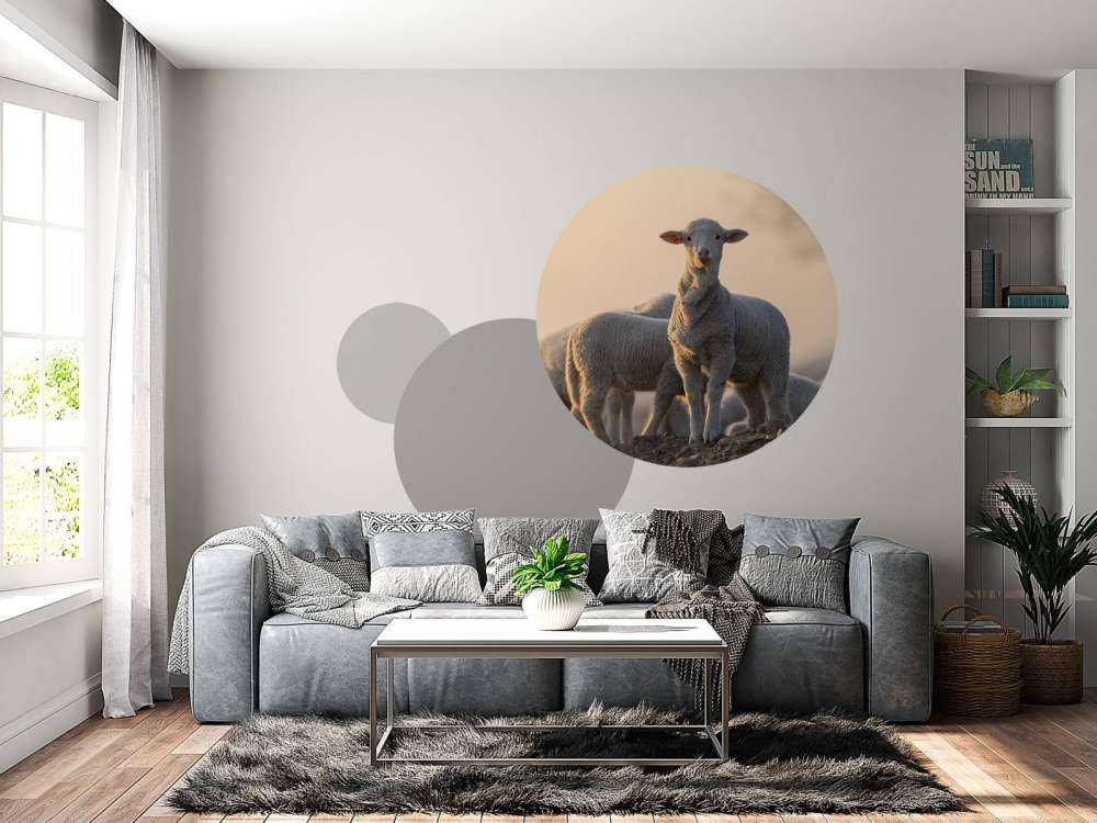 Mouton majestueux
