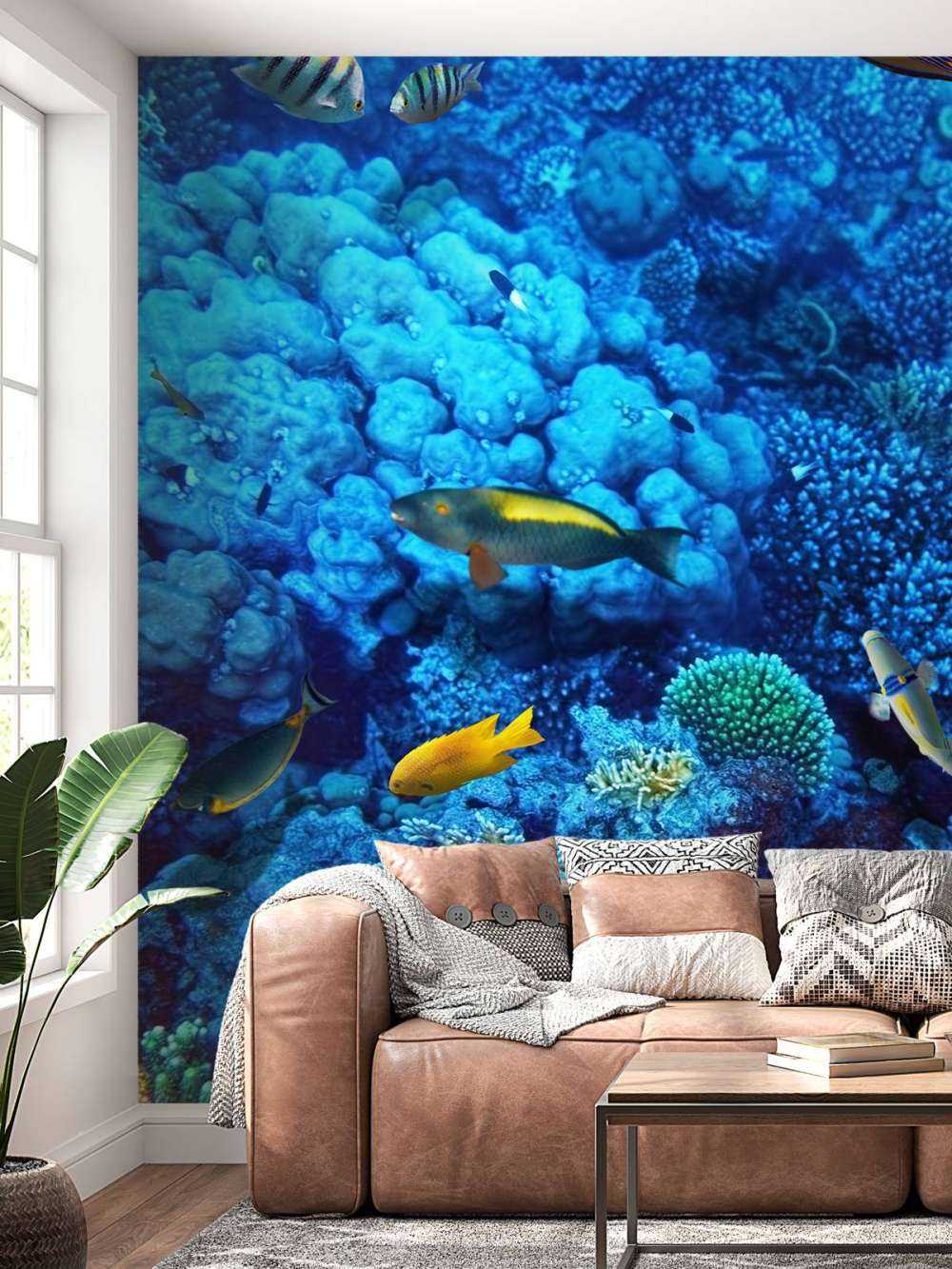 Poissons et coraux