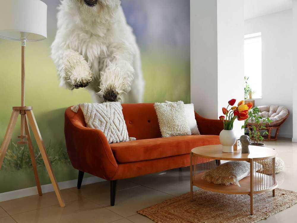 Chien courant