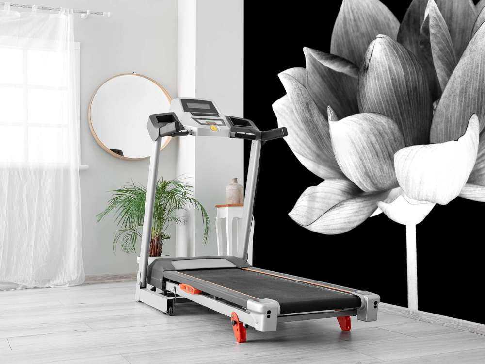 Lotus menotté
