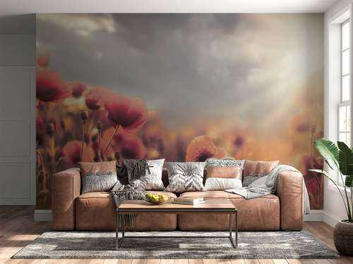 Coquelicots d'époque