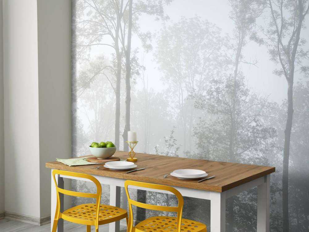 Brouillard dense dans la forêt