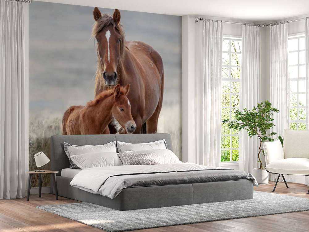 Chevaux sauvages