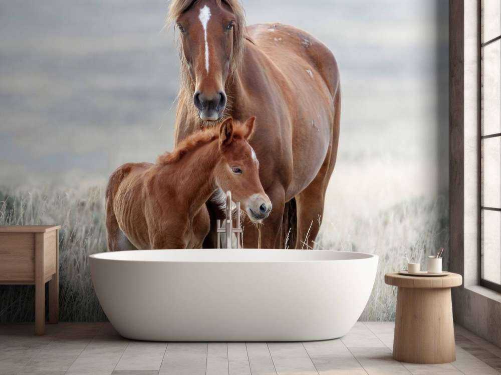 Chevaux sauvages