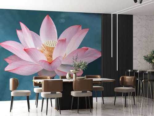 Gros plan sur la fleur de lotus