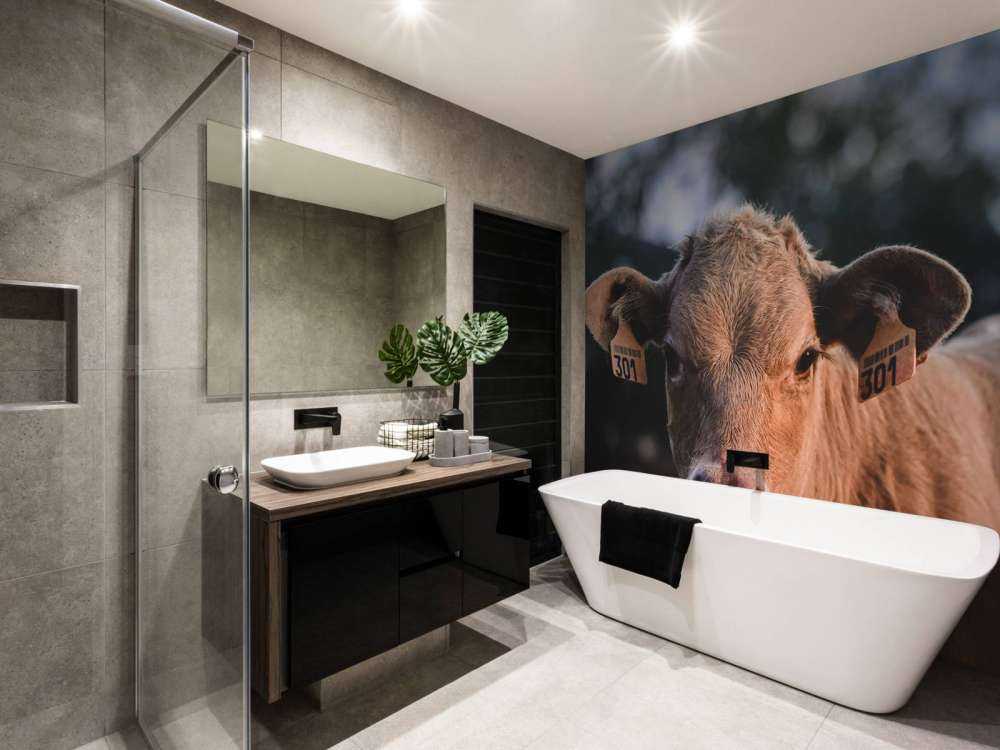 Gros plan sur la vache