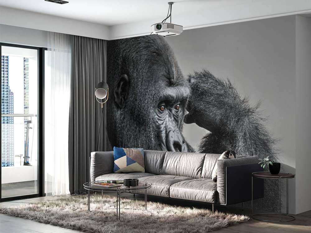 Gorille noir et blanc