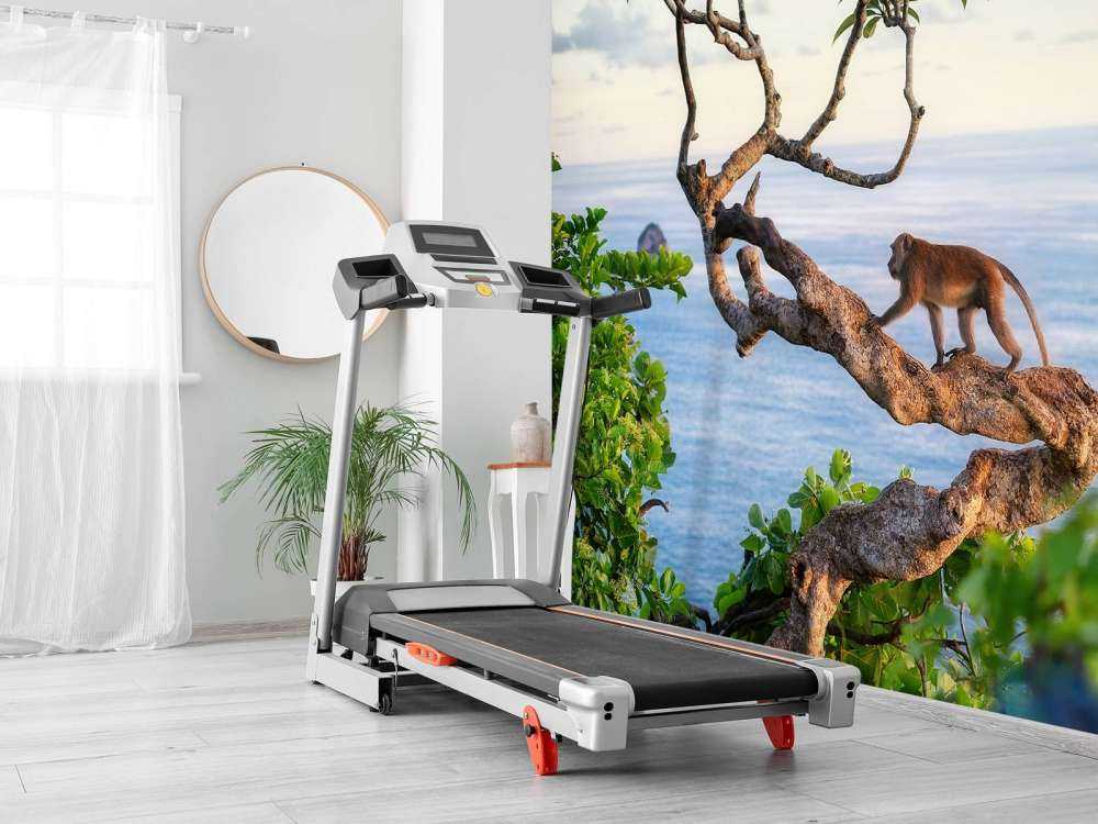 Singe sur un arbre