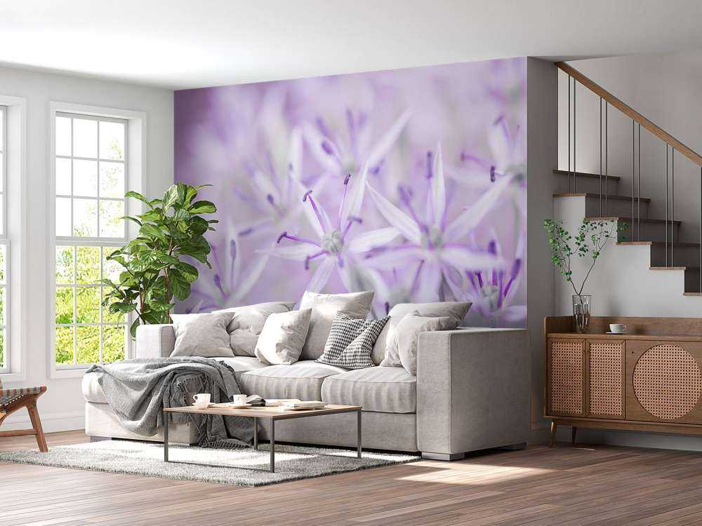 Fleurs d'allium en gros plan