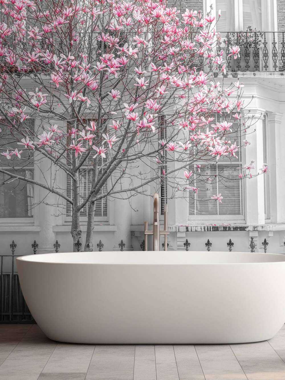 Magnolia en fleurs