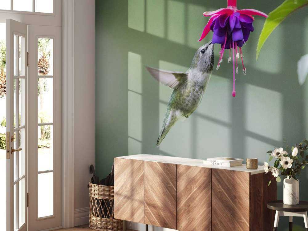 Colibri en vol