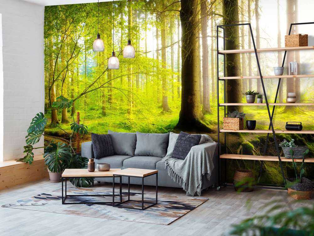 Forêt verte et fraîche