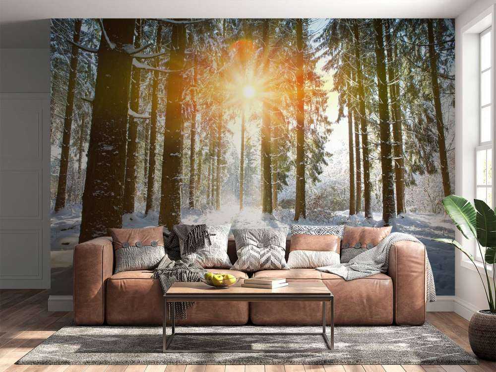 Lumière du soleil dans une forêt d'hiver