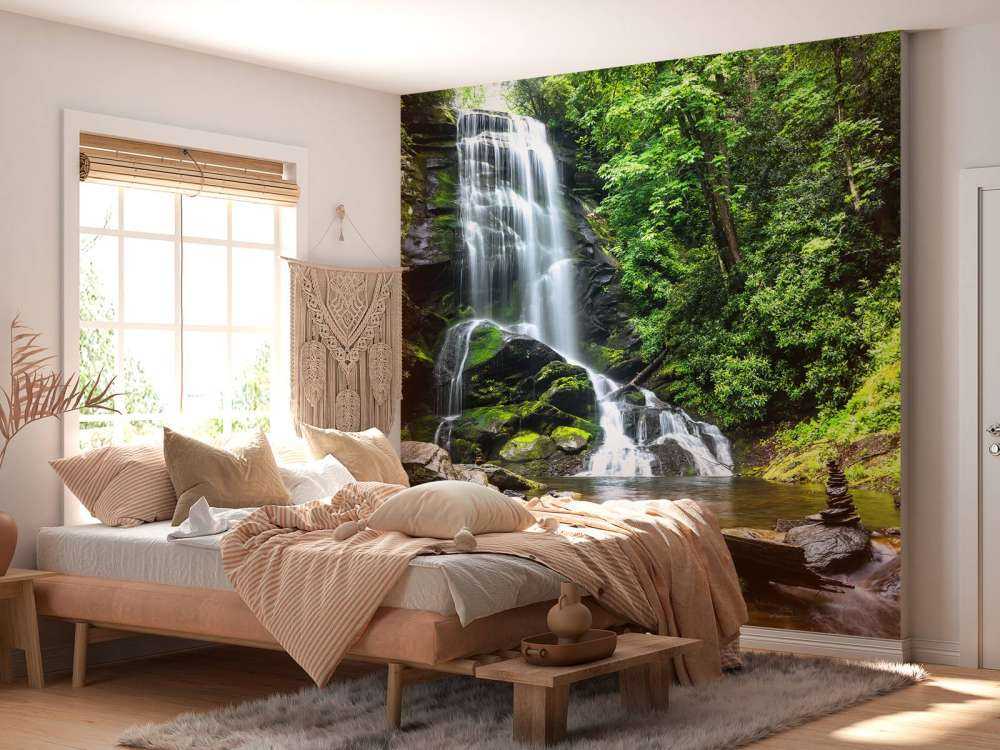 Chute d'eau de la jungle