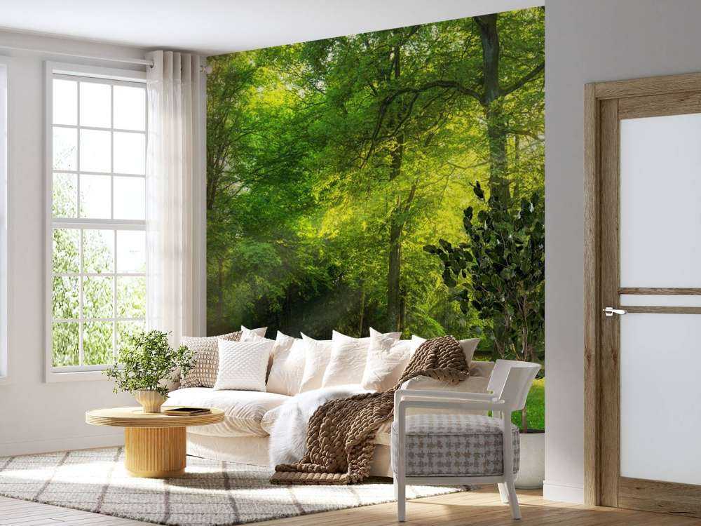 Forêt verte