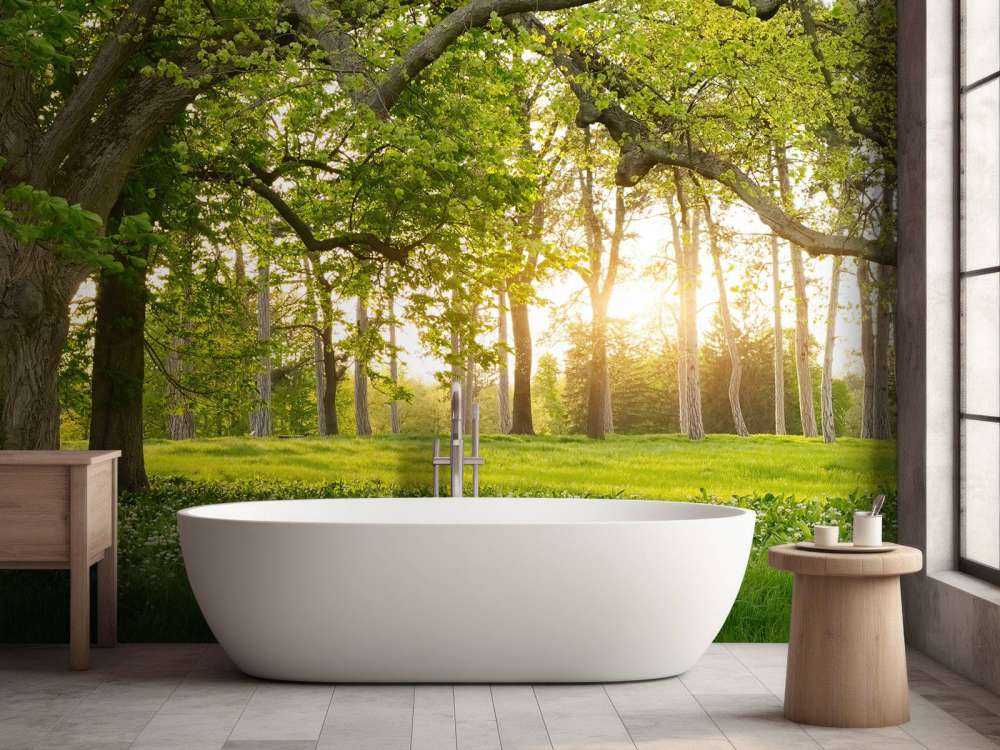 Espace ouvert dans la forêt