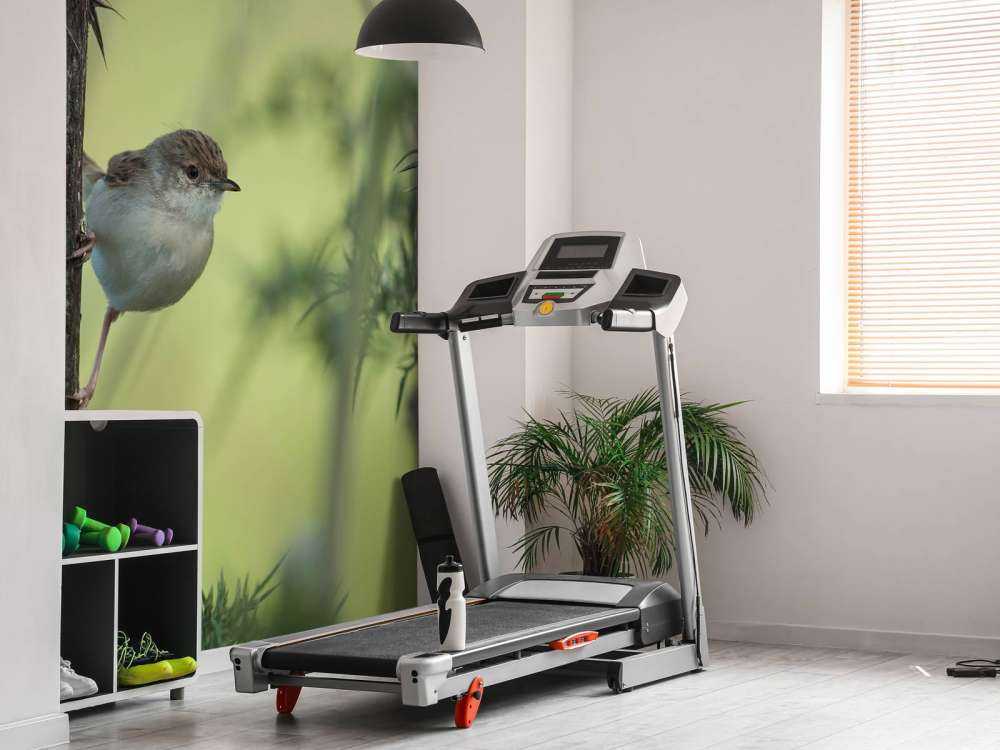 Oiseau sur une branche