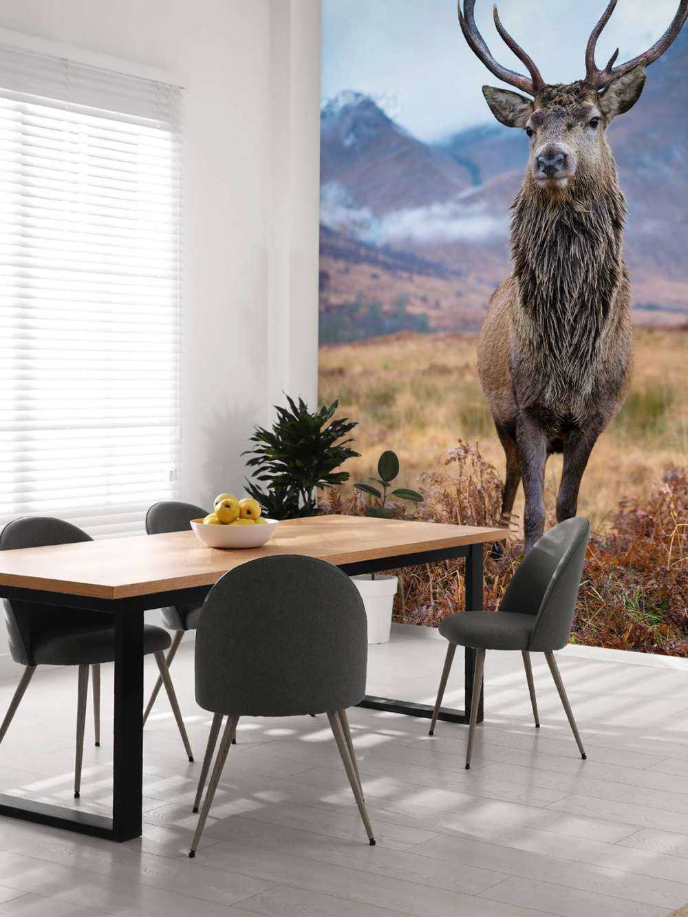 Cerf dans les montagnes