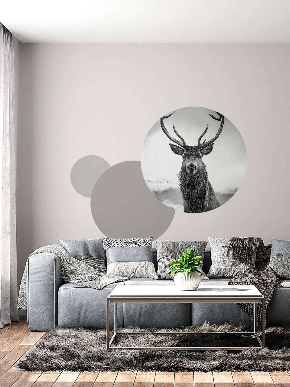 Gros cerf